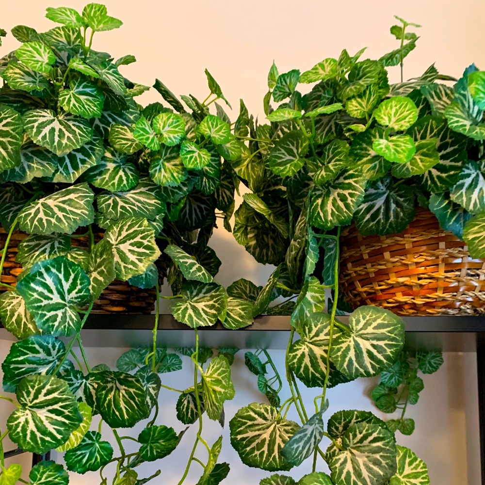 Faux Plant